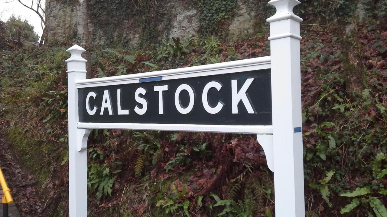 The Artist'S Retreat Apartment Calstock Bagian luar foto